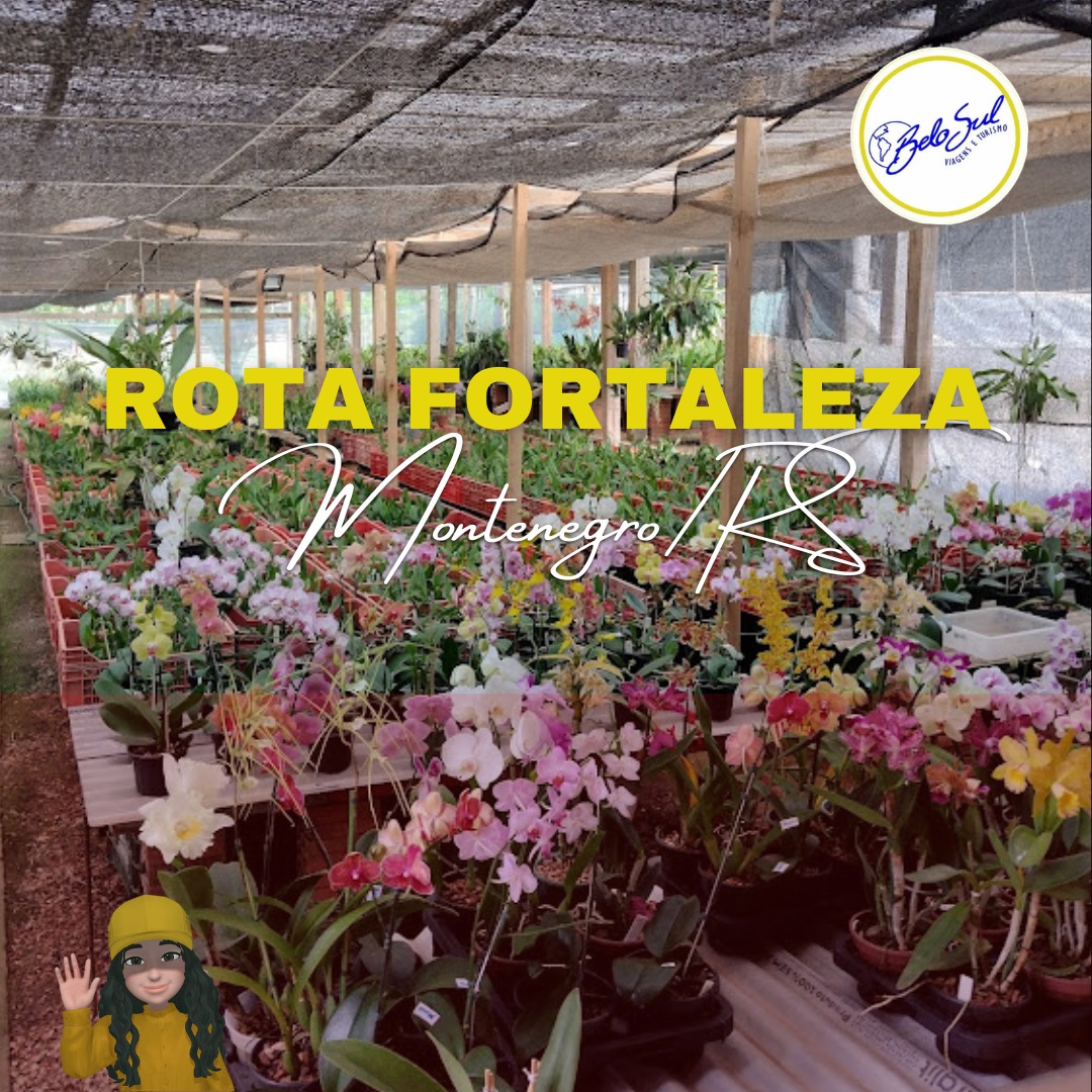 Rota Fortaleza Montenegro/RS